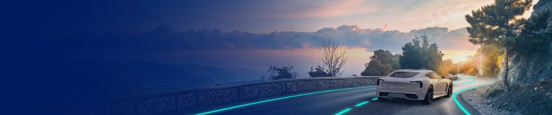 Tier 1 Supplier of E-Drive, ADAS and Steering Solutions